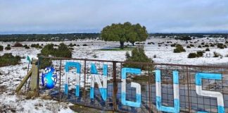 Argentina | Hizo punta exportando embriones y ahora tiene su propia cabaña Angus en España Argentina | Hizo punta exportando embriones y ahora tiene su propia cabaña Angus en España