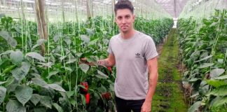 Argentina Una visita al emprendimiento de hidroponia hortícola más grande y curioso del país