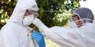 Argentina | Vuelven los hombres de blanco y el sacrificio de pollos: Primero fueron los cisnes y un rato después se confirmó la temible Influenza Aviar H5 Argentina | Vuelven los hombres de blanco y el sacrificio de pollos: Primero fueron los cisnes y un rato después se confirmó la temible Influenza Aviar H5