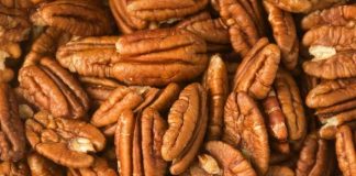 Argentina será sede del IV Simposio Sudamericano de Pecán