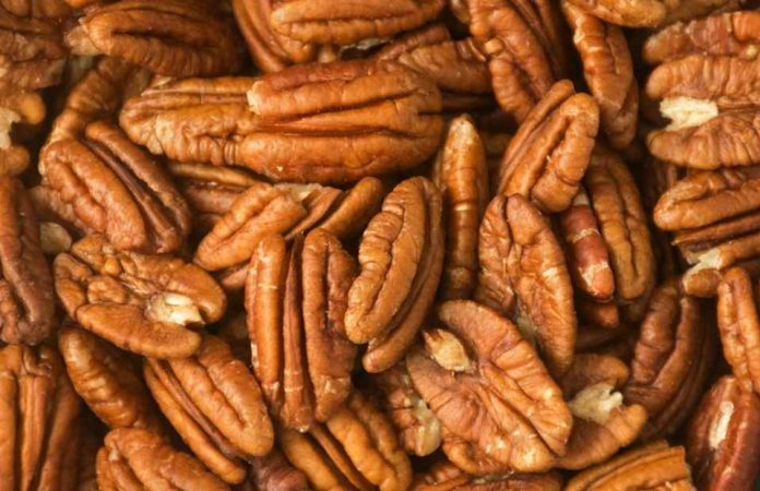 Argentina será sede del IV Simposio Sudamericano de Pecán Argentina será sede del IV Simposio Sudamericano de Pecán