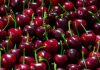 Auge de las cerezas chilenas en China: exportaciones récord y precios más bajos