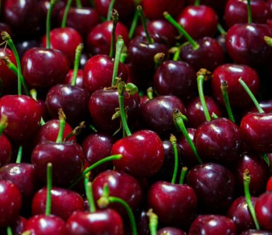 Auge de las cerezas chilenas en China: exportaciones récord y precios más bajos