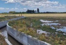 CNR y GORE Ñuble: Publican resultados de concurso que entrega $460 millones en bonos de riego a la pequeña agricultura CNR y GORE Ñuble: Publican resultados de concurso que entrega $460 millones en bonos de riego a la pequeña agricultura