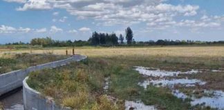 CNR y GORE Ñuble: Publican resultados de concurso que entrega $460 millones en bonos de riego a la pequeña agricultura