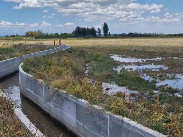 CNR y GORE Ñuble Publican resultados de concurso que entrega $460 millones en bonos de riego a la pequeña agricultura CNR y GORE Ñuble: Publican resultados de concurso que entrega $460 millones en bonos de riego a la pequeña agricultura