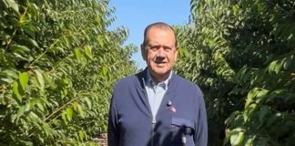Carlos Fuenzalida León: El apoyo indiscutible de Copefrut y el valor de herededar el oficio frutícola entre los huertos