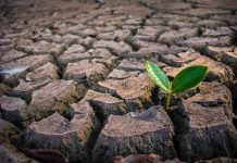 Chile: El desafío pendiente de los sitios contaminados y el rol clave de la remediación ambiental