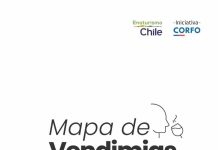 Chile inicia temporada de vendimias con más de 40 fiestas entre febrero y mayo Chile inicia temporada de vendimias con más de 40 fiestas entre febrero y mayo