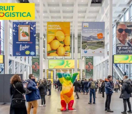 Chile lleva el «Polen Puro» a Fruit Logistica 2026: Zimex y Europollen desembarcan con respaldo de la Universidad de Bolonia Chile lleva el "Polen Puro" a Fruit Logistica 2026: Zimex y Europollen desembarcan con respaldo de la Universidad de Bolonia