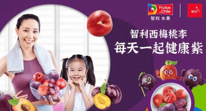 China Carozos chilenos promueven el consumo destacando sus aportes a la salud diaria China Carozos chilenos promueven el consumo destacando sus aportes a la salud diaria