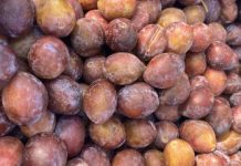 China Los primeros envíos de ciruelas sudafricanas llegan a China