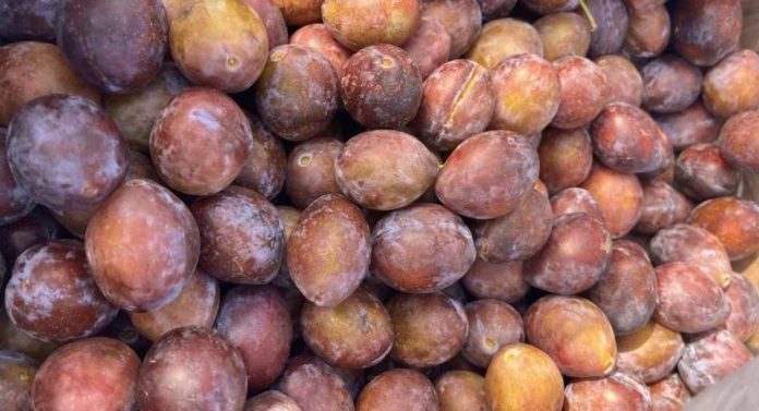 China Los primeros envíos de ciruelas sudafricanas llegan a China