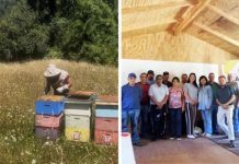 Ciencia nuclear al servicio de la miel chilena: CCHEN fortalece la trazabilidad y combate el fraude alimentario Ciencia nuclear al servicio de la miel chilena: CCHEN fortalece la trazabilidad y combate el fraude alimentario