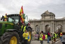 Cientos de tractores y miles de agricultores marchan en Madrid contra recortes de la PAC y Mercosur Cientos de tractores y miles de agricultores marchan en Madrid contra recortes de la PAC y Mercosur