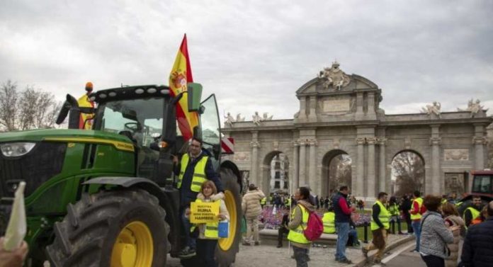 Cientos de tractores y miles de agricultores marchan en Madrid contra recortes de la PAC y Mercosur Cientos de tractores y miles de agricultores marchan en Madrid contra recortes de la PAC y Mercosur