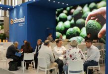 Citrosol refuerza en Berlín su posicionamiento como referente en innovación postcosecha para aguacate Citrosol refuerza en Berlín su posicionamiento como referente en innovación postcosecha para aguacate
