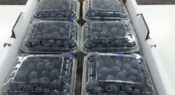 Colombia establece impuesto a plásticos de un solo uso para todos los envases y embalajes de productos importados