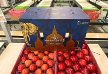 Cómo Exportadora Vientos del Sur convirtió a la manzana en su motor de crecimiento con foco en India