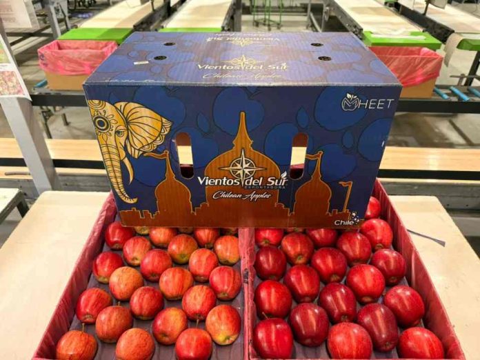 Cómo Exportadora Vientos del Sur convirtió a la manzana en su motor de crecimiento con foco en India