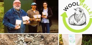 Con apoyo de FIA, desde Chiloé impulsan bioactivador de lana ovina y algas que reduce el riego hasta 29%