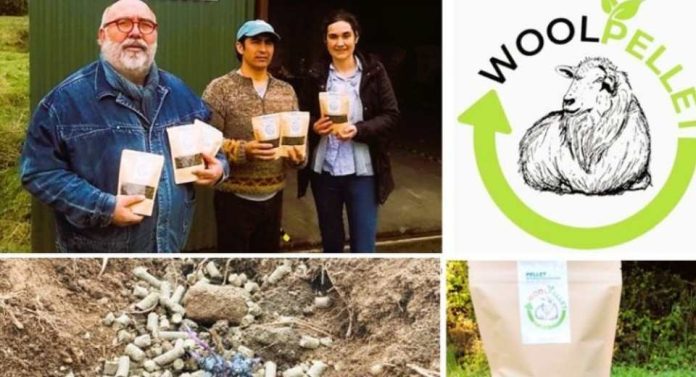 Con apoyo de FIA, desde Chiloé impulsan bioactivador de lana ovina y algas que reduce el riego hasta 29%