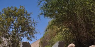 Concurso abierto para obras de riego asociativo de INDAP en Atacama Concurso abierto para obras de riego asociativo de INDAP en Atacama