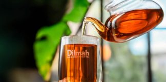 Consumo global de té supera los 31 millones de toneladas y se anticipa un nuevo ciclo de crecimiento Consumo global de té