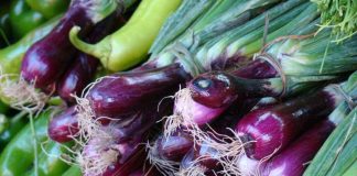 Corfo Metropolitano da inicio a Programa Transforma para fortalecer la horticultura regional frente al cambio climático