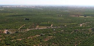 El sector alimentario pide estabilidad ante un posible giro regulatorio post-Brexit