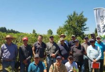 Día de Campo Berrytec junto a programa Indap SAT Longavi fortaleció el apoyo técnico a productores de Frambuesa y Arándano Día de Campo Berrytec junto a programa Indap SAT Longavi fortaleció el apoyo técnico a productores de Frambuesa y Arándano