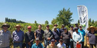 Día de Campo Berrytec junto a programa Indap SAT Longavi fortaleció el apoyo técnico a productores de Frambuesa y Arándano