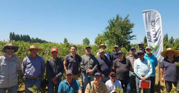 Día de Campo Berrytec junto a programa Indap SAT Longavi fortaleció el apoyo técnico a productores de Frambuesa y Arándano