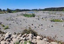 Difícil situación hídrica afecta al Maule Difícil situación hídrica afecta al Maule