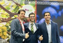 El Global Grape Group (GGG) y Agronometrics lanzan el primer «Global Grape Report»