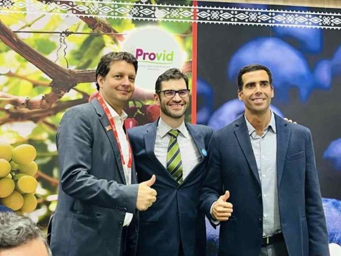 El Global Grape Group (GGG) y Agronometrics lanzan el primer «Global Grape Report»