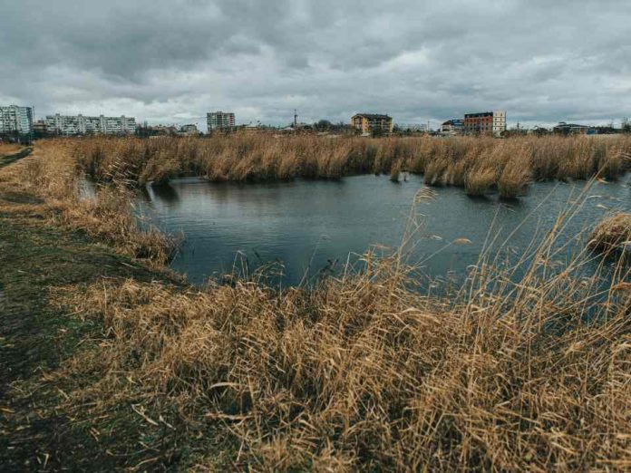 El cuidado del agua comienza en casa hábitos y soluciones eficientes para un consumo responsable El cuidado del agua comienza en casa: hábitos y soluciones eficientes para un consumo responsable