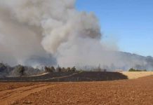 Emergencia agrícola para toda la Región de la Araucanía: Minagri activará ayudas y recursos con catastro previo