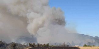 Emergencia agrícola para toda la Región de la Araucanía: Minagri activará ayudas y recursos con catastro previo