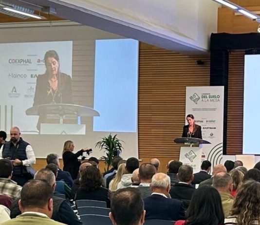 España | El Congreso Del Suelo a la Mesa vuelve en 2026 con el reto de impulsar la sostenibilidad y la competitividad agrícola España El Congreso Del Suelo a la Mesa vuelve en 2026 con el reto de impulsar la sostenibilidad y la competitividad agrícola