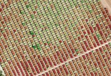 España El IAS-CSIC usa tecnología LiDAR para mejorar la eficiencia del riego en almendro