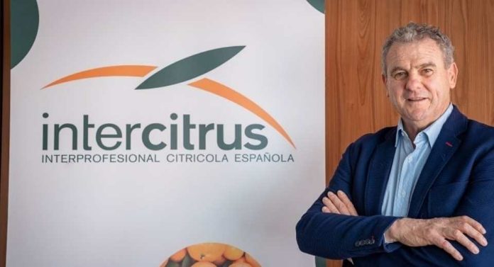España Intercitrus La extensión de norma marca una nueva etapa para el sector citrícola español