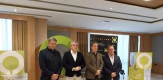 España | Por qué el olivar español percibe Mercosur como una amenaza