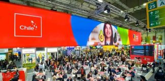 Exportadores chilenos refuerza su posicionamiento en Fruit Logistica 2026