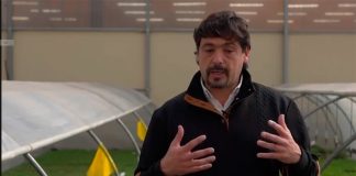 Decidir las inversiones y los cambios a tiempo: el ajuste que se viene en las cerezas