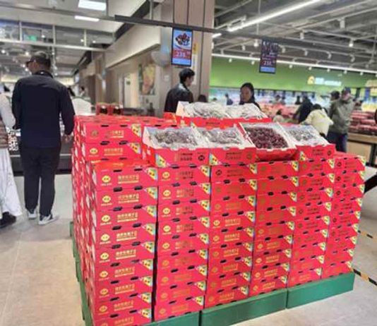 Fruta asiática Las cerezas chilenas alcanzan un 'punto de inflexión' en China