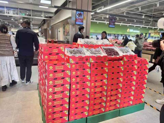 Fruta asiática Las cerezas chilenas alcanzan un 'punto de inflexión' en China Fruta asiática Las cerezas chilenas alcanzan un 'punto de inflexión' en China