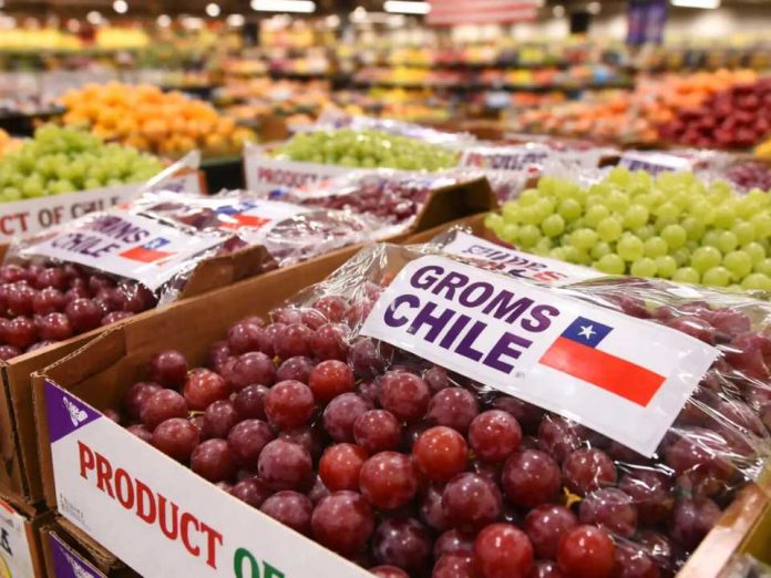 Fruta chilena bajo presión: sector pide gestiones ante nuevo arancel de EE.UU.