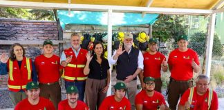 Gobierno conmemora el Día Nacional de las y los Brigadistas Forestales y refuerza llamado a la prevención de incendios forestales