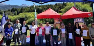 Hito para la apicultura del sur austral: SAG declara libres de enfermedades apícolas a las comunas de Chaitén, Palena y Futaleufú Hito para la apicultura del sur austral: SAG declara libres de enfermedades apícolas a las comunas de Chaitén, Palena y Futaleufú